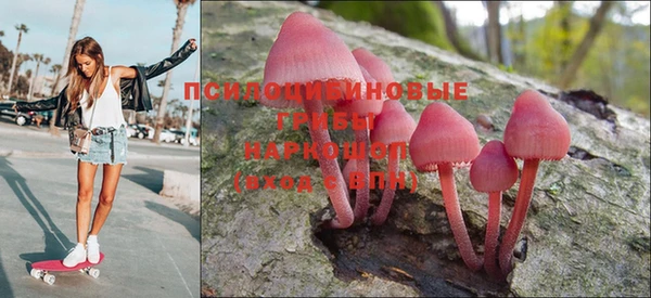 сатива Алексин