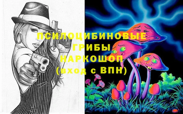 бошки Абинск